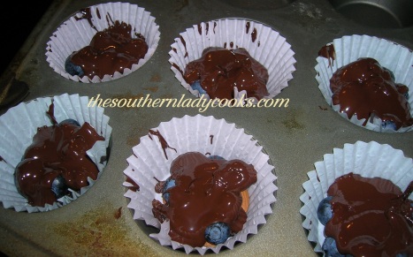 Chocolate Blueberry Clusters 